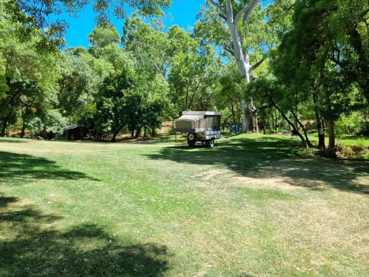 Belair National Park Holiday Park Buitenkant foto