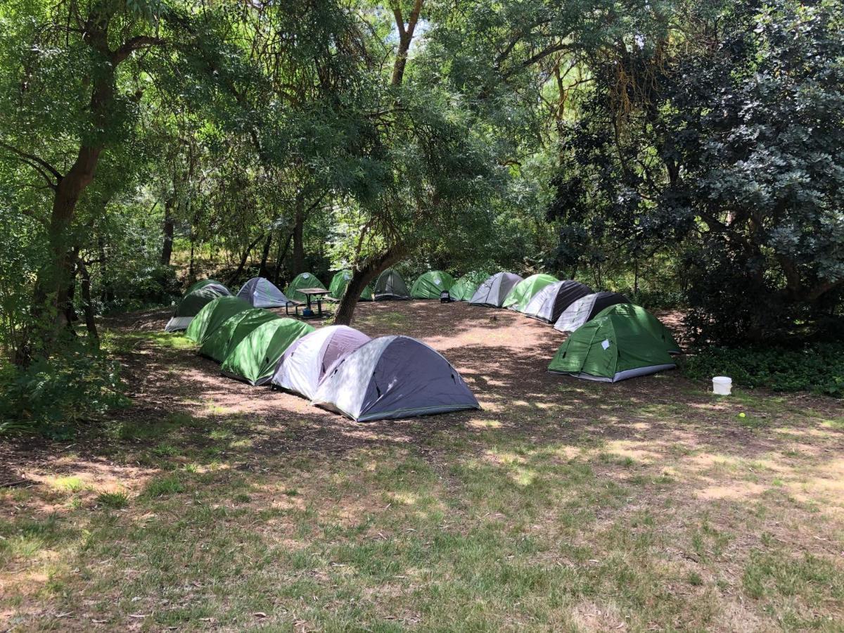 Belair National Park Holiday Park Buitenkant foto