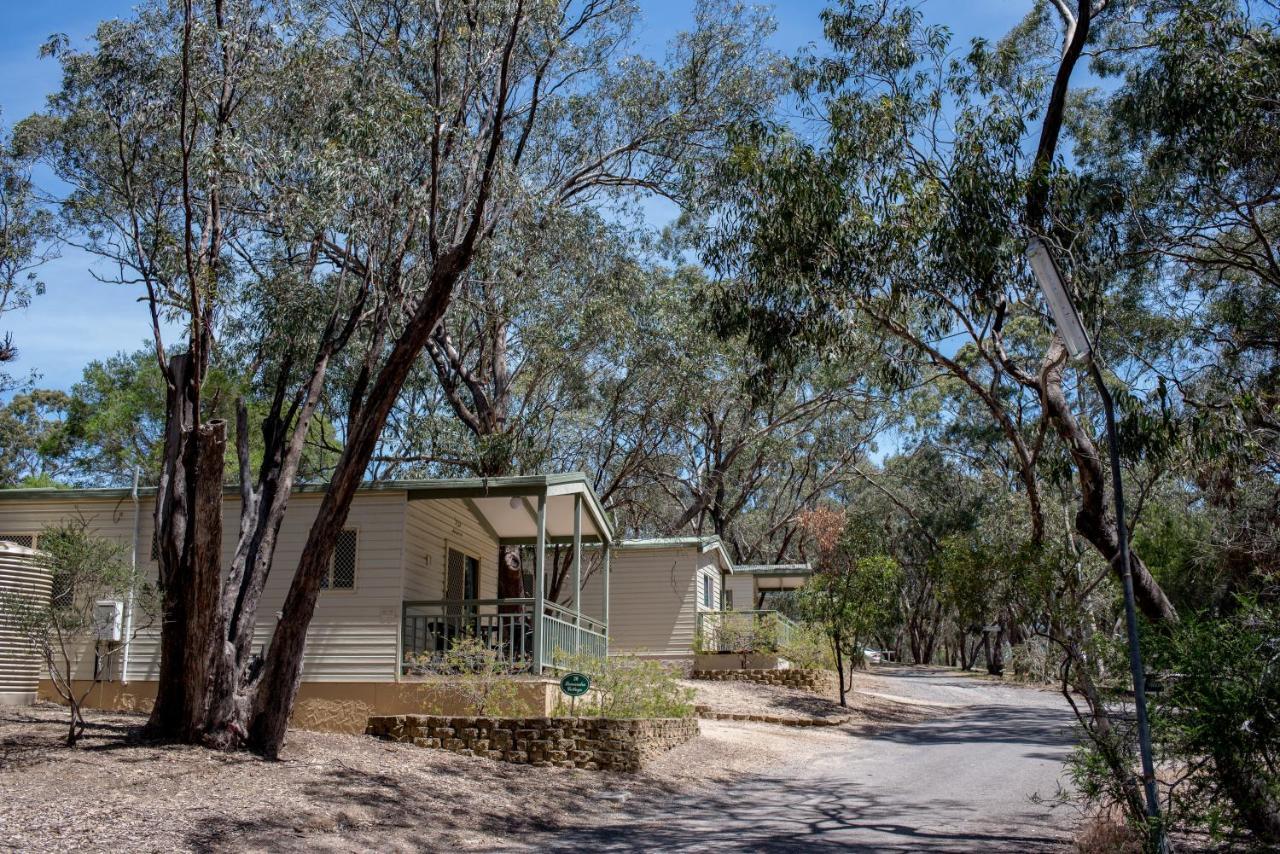 Belair National Park Holiday Park Buitenkant foto