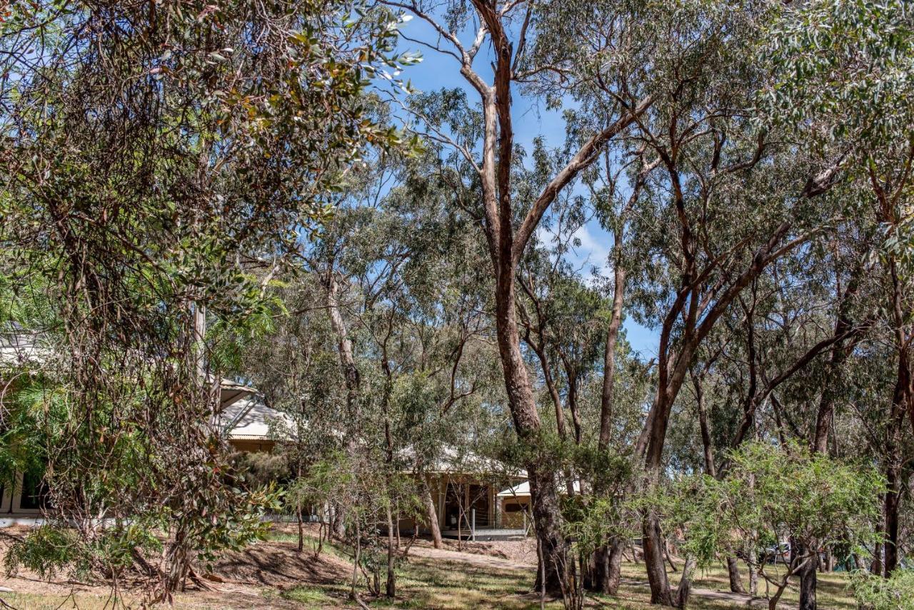 Belair National Park Holiday Park Buitenkant foto