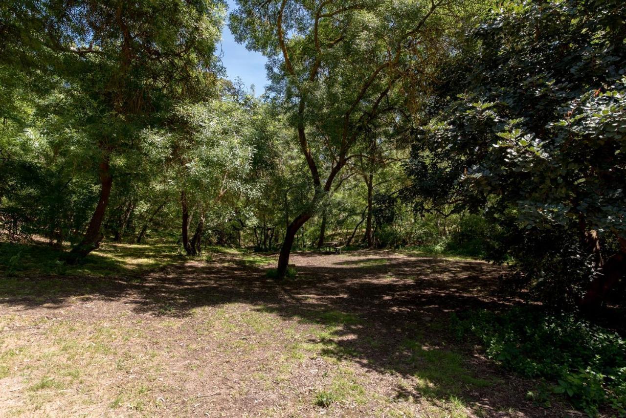 Belair National Park Holiday Park Buitenkant foto